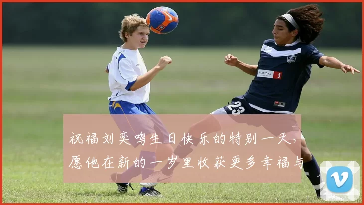 祝福刘奕鸣生日快乐的特别一天，愿他在新的一岁里收获更多幸福与成功